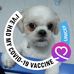 Catherine Chew - Facebook