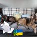 Cat Clegg - Facebook