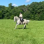 Catherine Clegg - @catherine_clegg - Instagram