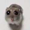 cath.co._. - @catherine.co - TikTok
