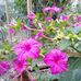 Katherine Coady - Facebook