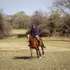 catherinecoxhinoj - @catherinecoxhinoj - TikTok