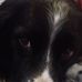 Catherine Cocozza - Facebook