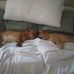 Catherine Cody - Facebook