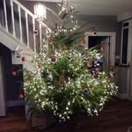 Catherine Cogan - @catherine.cogan - Instagram