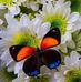 Catherine Col - Facebook
