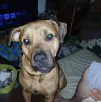 Catherine Cofer - Facebook