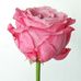 Catherine Kollart - Facebook