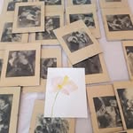 Catherine Colle - @23_settembre - Instagram