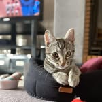 Catherine Colle - @catherine.colle.775 - Instagram