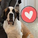 Catherine Collier - @thebarkingcowfarmstexas - Instagram