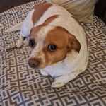 Catherine Colombo - @colombo.catherine - Instagram