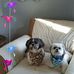 Catherine Colombo - Facebook
