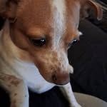 Catherine Colombo - @colombo.catherine - Instagram
