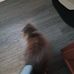 Catherine Colon - Facebook