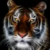 Catherine Colon - @caty150107 - TikTok