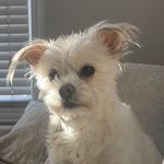 Catherine Combe - @catiecombe - Instagram