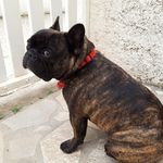 Combe Catherine - @combe.catherine - Instagram