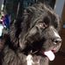Cathy Comstock - Facebook