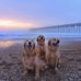 Catherine Conn - Facebook