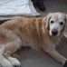 Catherine Conn - Facebook
