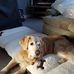 Catherine Conn - Facebook