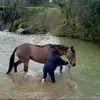 Catherine Constant - @catherine.constan15 - TikTok
