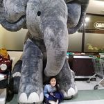 Catherine Constanza Tapia Morales - @catherinetapiamorales - Instagram