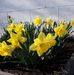 Catherine Cooley - Facebook