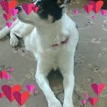 Catherine Cooney - @catherine.cooney.908 - Instagram