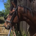Catherine Cooney - @catherine.cooney.796 - Instagram