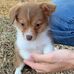 Cathie Copp - Facebook