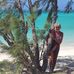 Catherine Cornille - Facebook