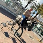 Catherine Cornille - @kaskatcc - Instagram