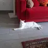 catherinecornille7 - @catherinecornille7 - TikTok