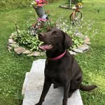 Catherine Cornwell - @catherine_cornwell - Instagram