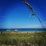 Catherine Cornwell Philpott - @scc117 - Instagram