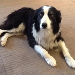 Catherine Coton - @catherine_coton - Instagram