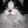 Catherine Cotroneo - @catherine.cotrone0 - TikTok