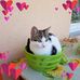 Catherine Cotter - Facebook