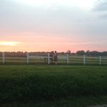 Catherine cotter - @ccotter4270 - Instagram