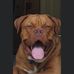 Cathy Cottingham - Facebook