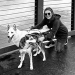Katherine Cottingham - @hasfurrychildren - Instagram