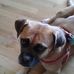 Catherine Cramer - Facebook