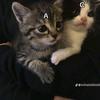 Catherine Cramer - @catherine.cramer - TikTok