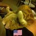 Catherine Cramer - Facebook