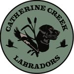 Laura Heffernan - Catherine Creek Labradors - @catherinecreekkennel - Instagram