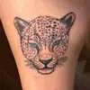 Cat - @catherinecarrick - TikTok