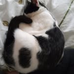 Catherine Crick - @cutecatflower - Instagram