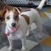 Catherine Darcy - Facebook